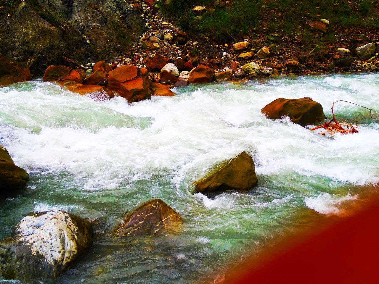 water, motion, beauty in nature, nature, orange color, animal, animal themes, no people, day, vertebrate, river, flowing water, rock, mammal, pets, solid, scenics - nature, domestic animals, outdoors, flowing, change