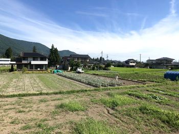 Houses on field against sky