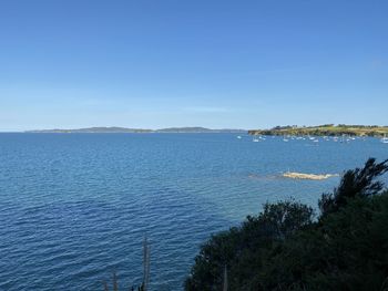 Scenic view of sea against clear blue sky