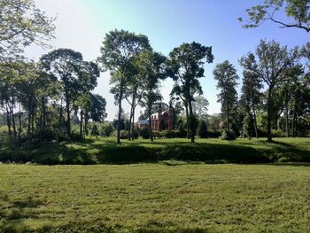 Scenic view of grassy field against sky