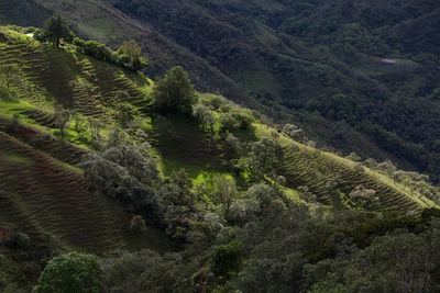 High angle view of landscape