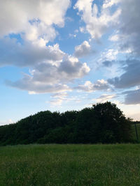 Scenic view of field against sky