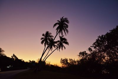 Silhouette palm trees against sky during sunset