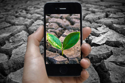 Low section of man holding mobile phone