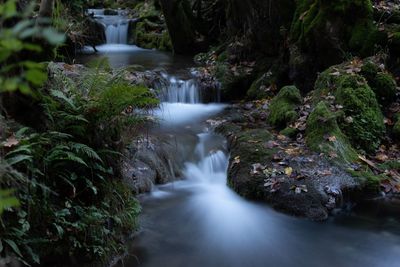 Stream flowing through rocks in forest