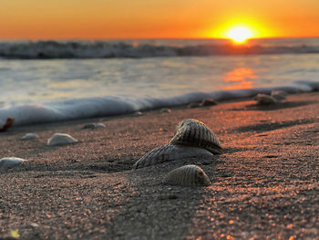 Surface level of beach against sky during sunset