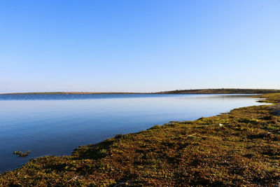 Scenic view of sea against clear blue sky