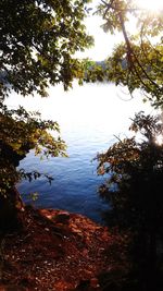 Scenic view of lake in forest against sky