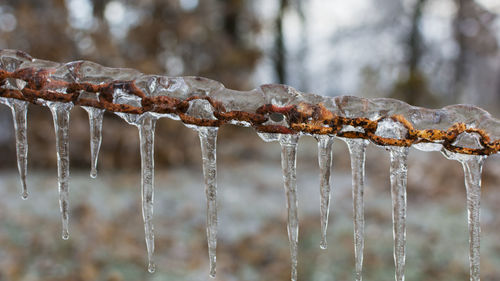 Close-up of frozen barbed wire fence during winter