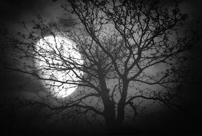 Low angle view of bare trees against sky