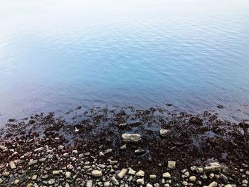 High angle view of pebbles on beach
