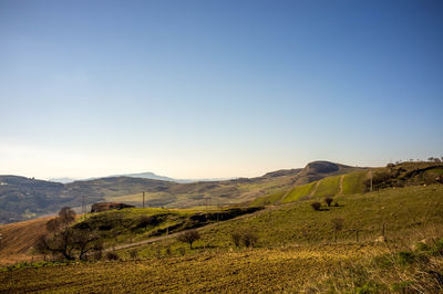 Scenic view of landscape against clear blue sky