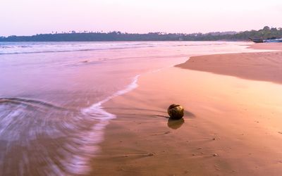 Scenic view of beach against sky during sunset