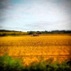 Scenic view of field against cloudy sky