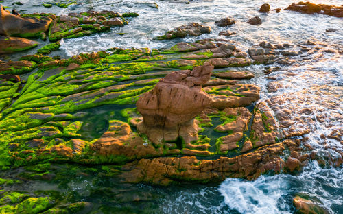 High angle view of rocks in sea