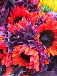 Close-up of flowers blooming outdoors