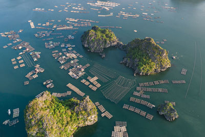 High angle view of plants by sea