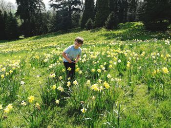 Full length of boy amidst yellow flowers on field