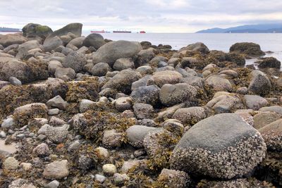 Rocks on beach against sky
