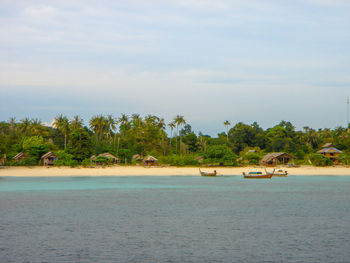 Scenic view of palm trees on beach against sky