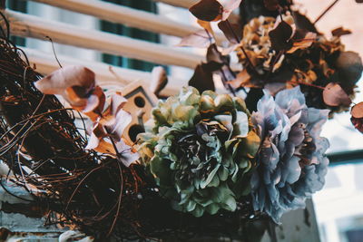 High angle view of flowering plant on table