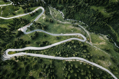 High angle view of winding road amidst trees in forest