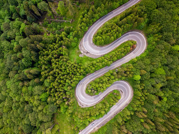 Aerial view of winding road in high mountain pass trough dense green pine woods.