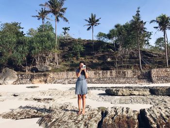 Woman photographing at beach against trees