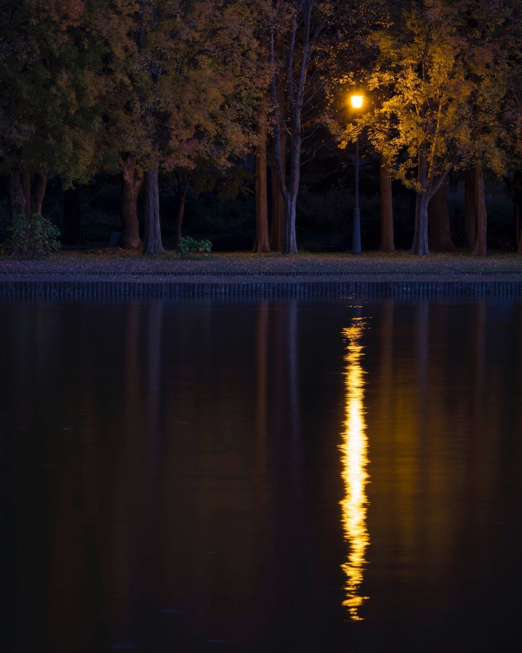 SCENIC VIEW OF LAKE AT NIGHT