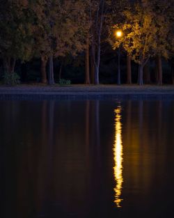 Reflection of trees in lake at night