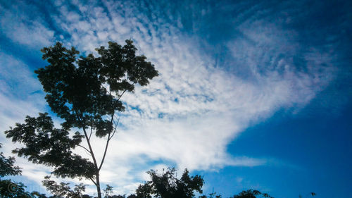 Low angle view of tree against cloudy sky