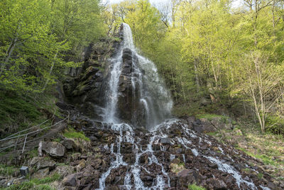 View of waterfall in forest