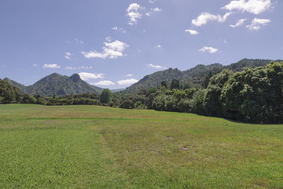 Scenic view of landscape against sky