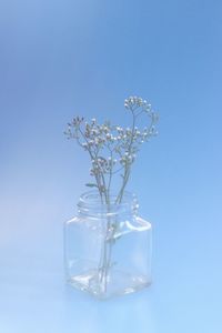 Close-up of flower vase over blue background