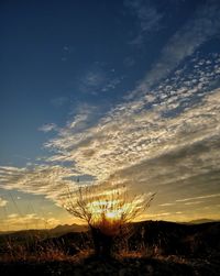 Scenic view of silhouette field against sky at sunset