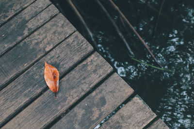 High angle view of autumn leaves on wooden table