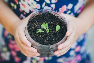 Midsection of woman holding plant