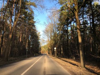 Road amidst trees in forest against sky