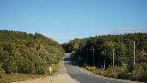 Empty road along trees