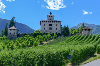 Plants growing on field by building against sky