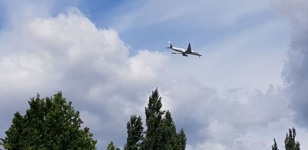 Low angle view of airplane flying in sky