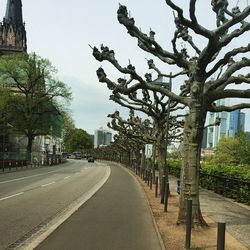 Empty road along trees