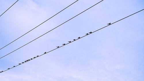 Low angle view of birds on cable against sky