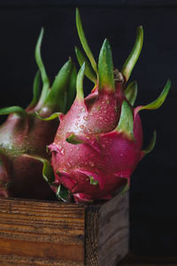 Close-up of pink flower
