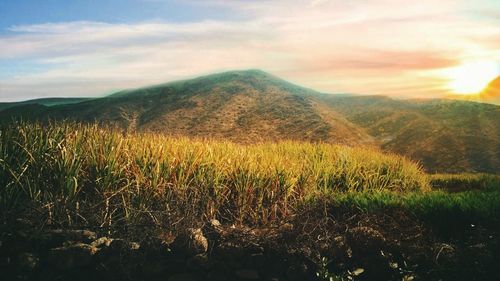 Scenic view of landscape against sky during sunset