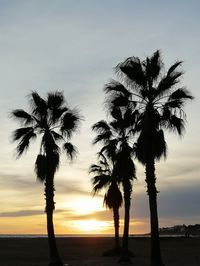 Silhouette palm tree by sea against sky at sunset