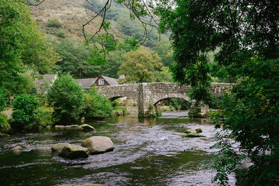 Bridge over river in forest