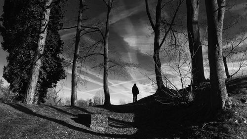 Silhouette person standing by trees in forest against sky
