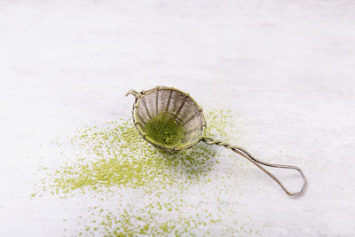 High angle view of shell on white background