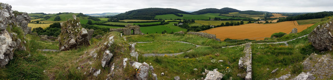 High angle view of trees on landscape against sky